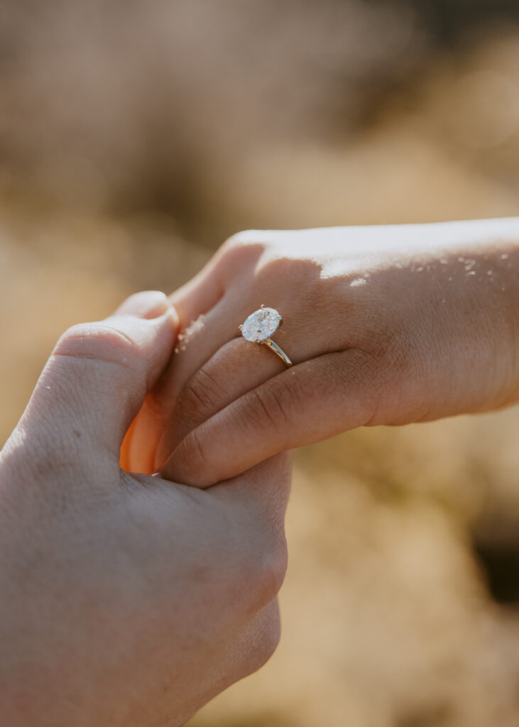 Eric and Diana | Zion National Park Proposal | Southern Utah Wedding and Elopement Photographer, Emily Dawn Photo