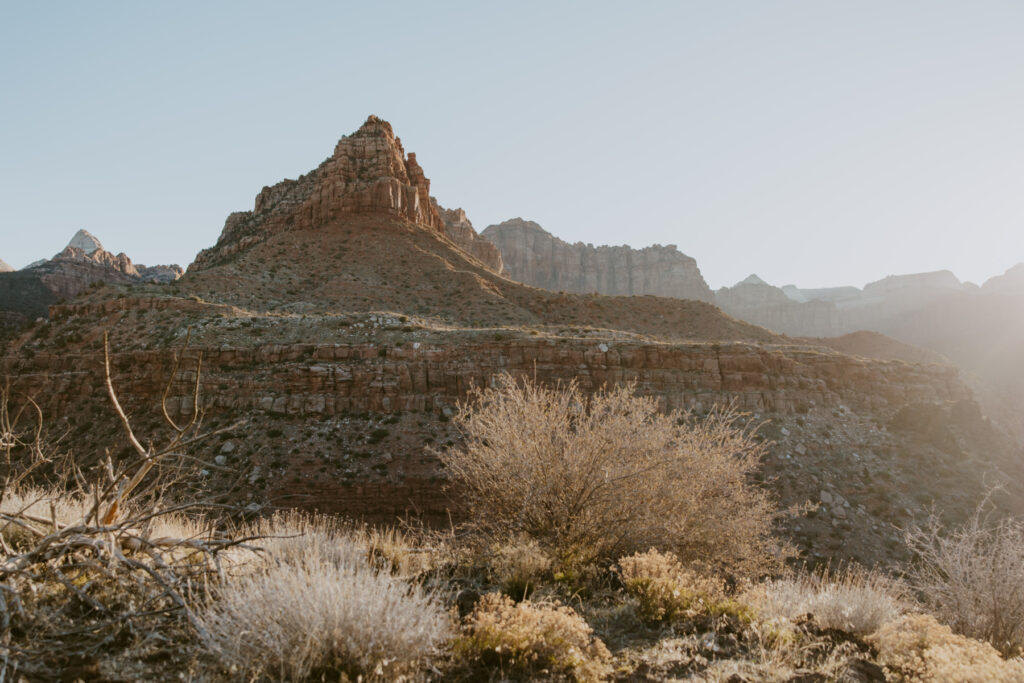 Eric and Diana | Zion National Park Proposal | Southern Utah Wedding and Elopement Photographer, Emily Dawn Photo