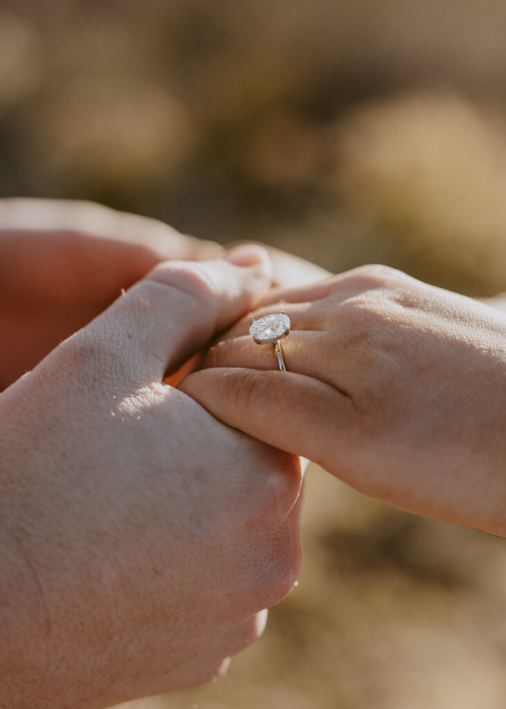 Eric and Diana | Zion National Park Proposal | Southern Utah Wedding and Elopement Photographer, Emily Dawn Photo