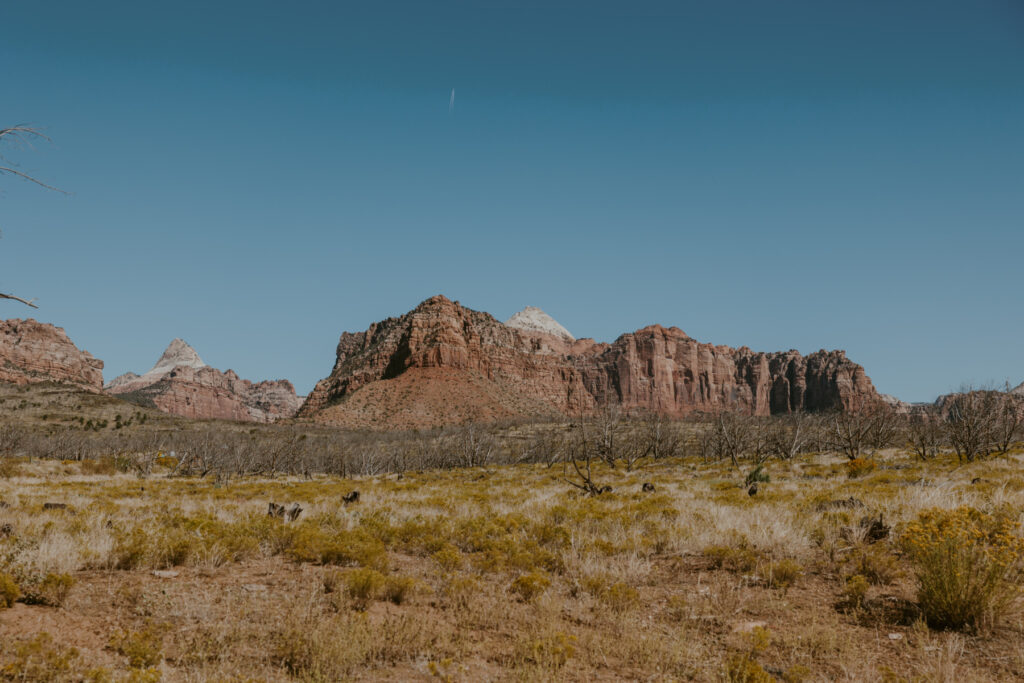 Elizabeth and Karl | Under Canvas Zion Wedding | Southern Utah Wedding and Elopement Photographer, Emily Dawn Photo