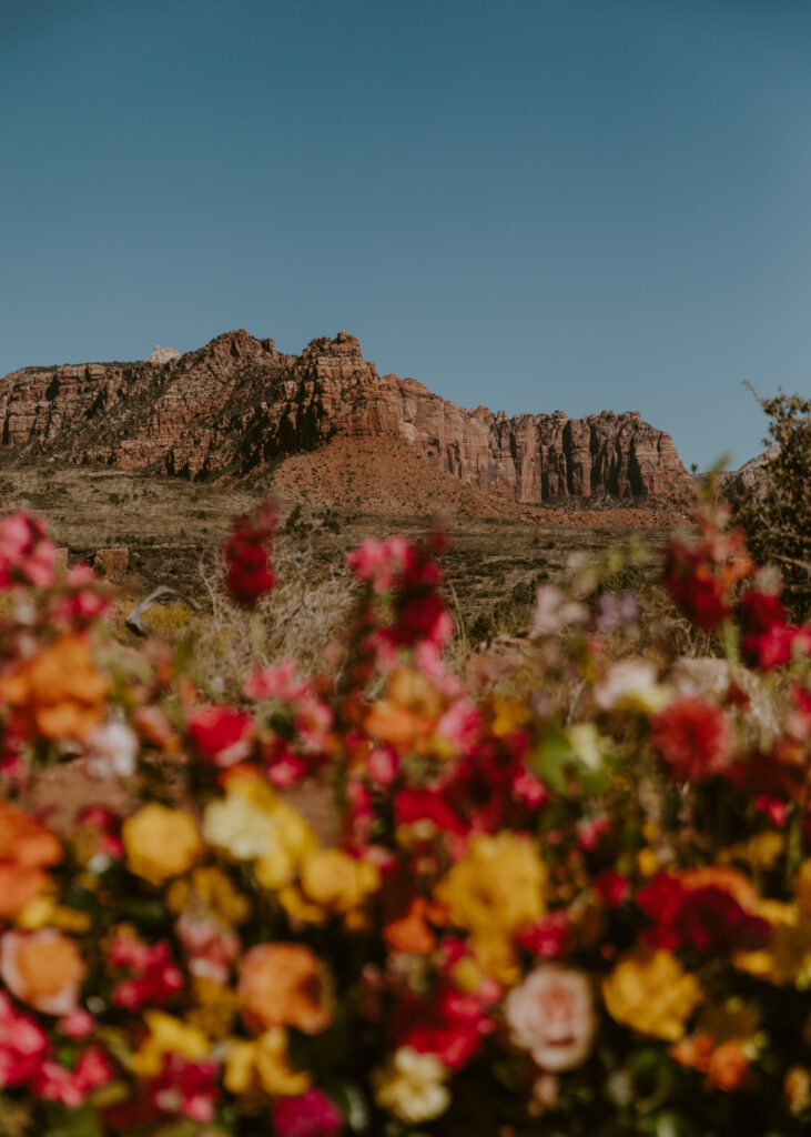 Elizabeth and Karl | Under Canvas Zion Wedding | Southern Utah Wedding and Elopement Photographer, Emily Dawn Photo