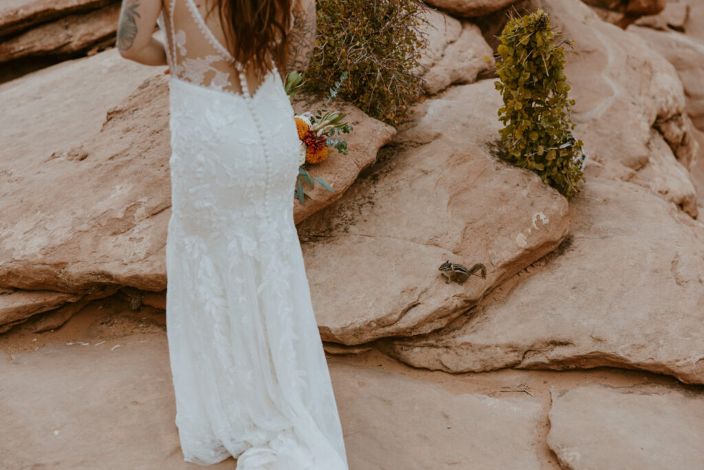 Kaitlyn and Sam | Zion National Park, Temple of Sinawava Wedding | Southern Utah Wedding and Elopement Photographer, Emily Dawn Photo