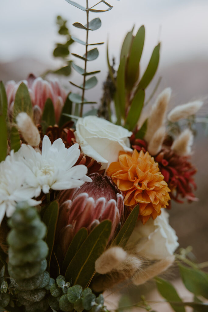 Kaitlyn and Sam | Zion National Park, Temple of Sinawava Wedding | Southern Utah Wedding and Elopement Photographer, Emily Dawn Photo