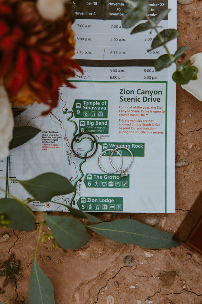 Kaitlyn and Sam | Zion National Park, Temple of Sinawava Wedding | Southern Utah Wedding and Elopement Photographer, Emily Dawn Photo