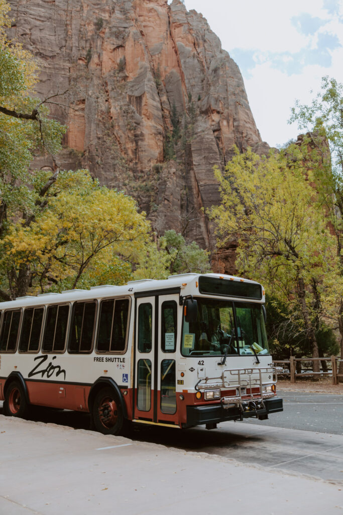 Kaitlyn and Sam | Zion National Park, Temple of Sinawava Wedding | Southern Utah Wedding and Elopement Photographer, Emily Dawn Photo