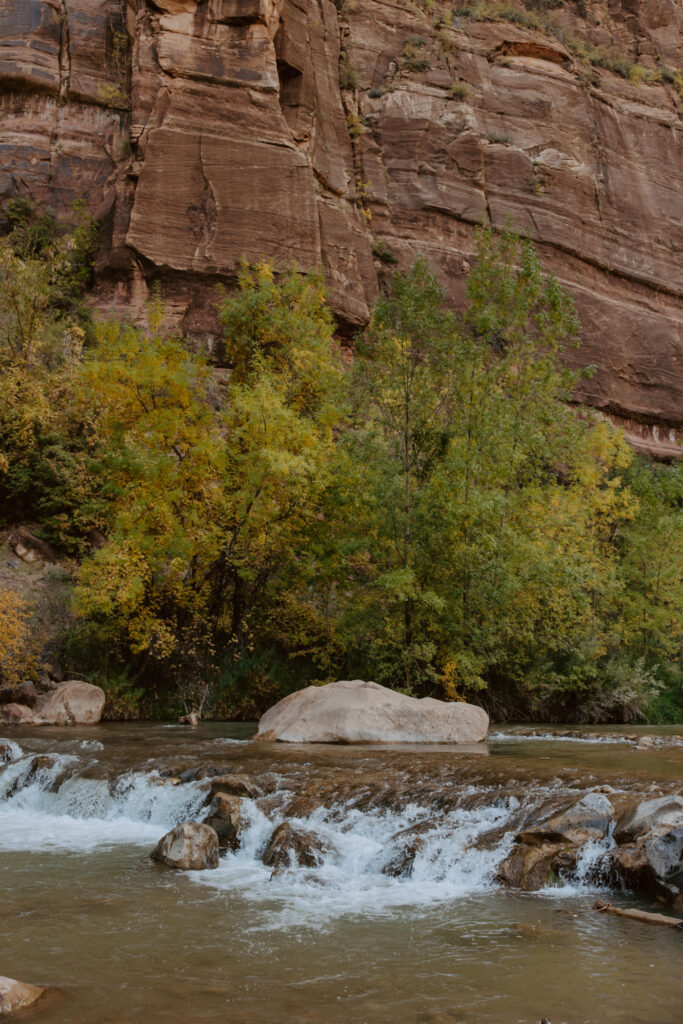 Kaitlyn and Sam | Zion National Park, Temple of Sinawava Wedding | Southern Utah Wedding and Elopement Photographer, Emily Dawn Photo