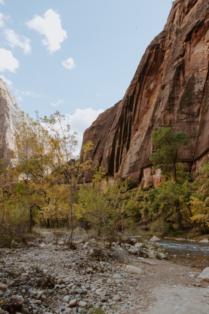 Kaitlyn and Sam | Zion National Park, Temple of Sinawava Wedding | Southern Utah Wedding and Elopement Photographer, Emily Dawn Photo