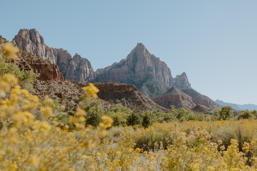 Lori and Levi | Zion National Park Engagements - Southern Utah Wedding and Elopement Photographer, Emily Dawn Photo