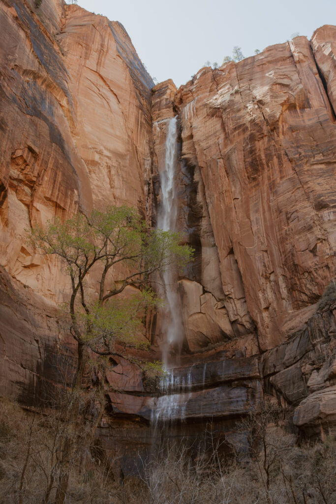 Rachel and Matt, Zion National Park Wedding - Southern Utah Photographer, Emily Dawn Photo