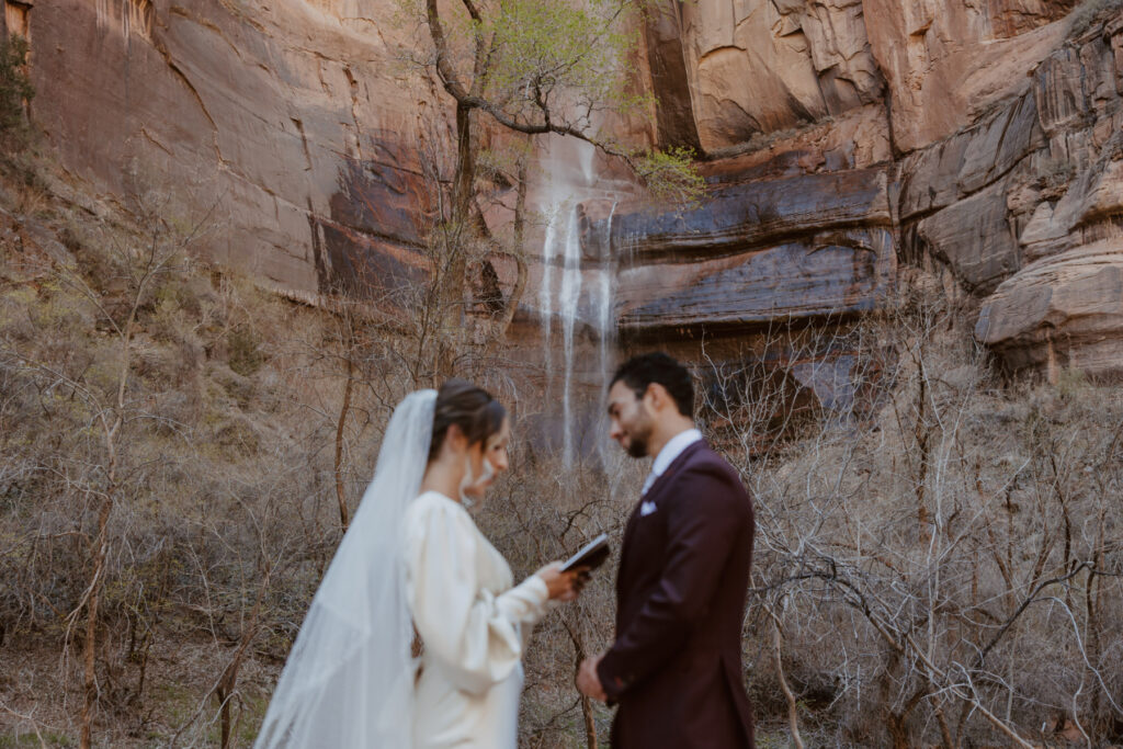 Rachel and Matt, Zion National Park Wedding - Southern Utah Photographer, Emily Dawn Photo