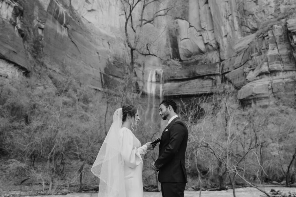 Rachel and Matt, Zion National Park Wedding - Southern Utah Photographer, Emily Dawn Photo