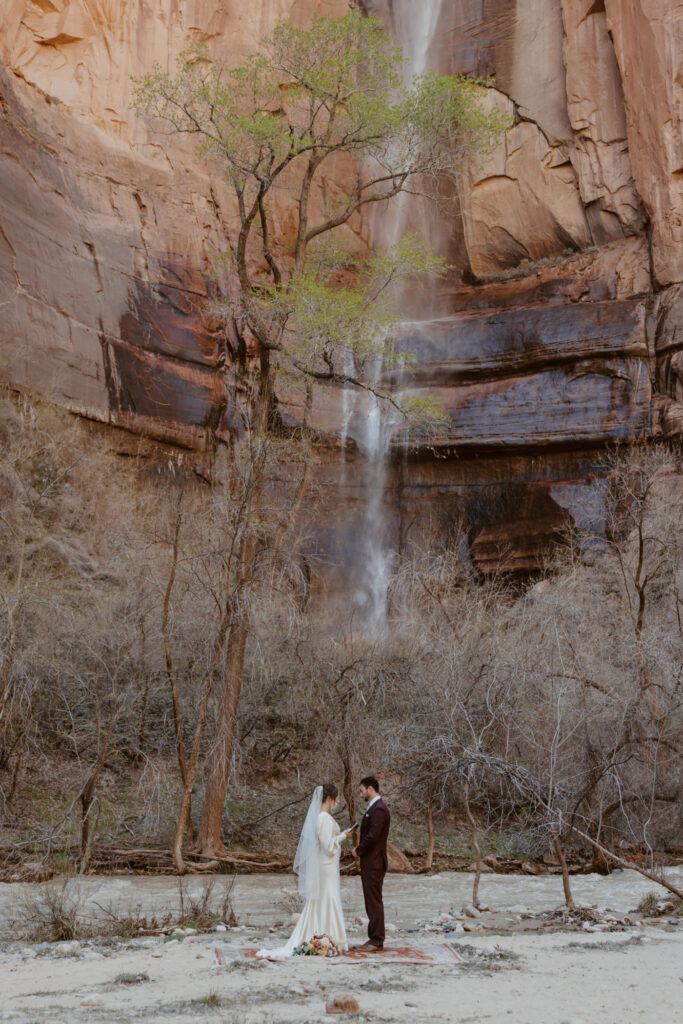 Rachel and Matt, Zion National Park Wedding - Southern Utah Photographer, Emily Dawn Photo