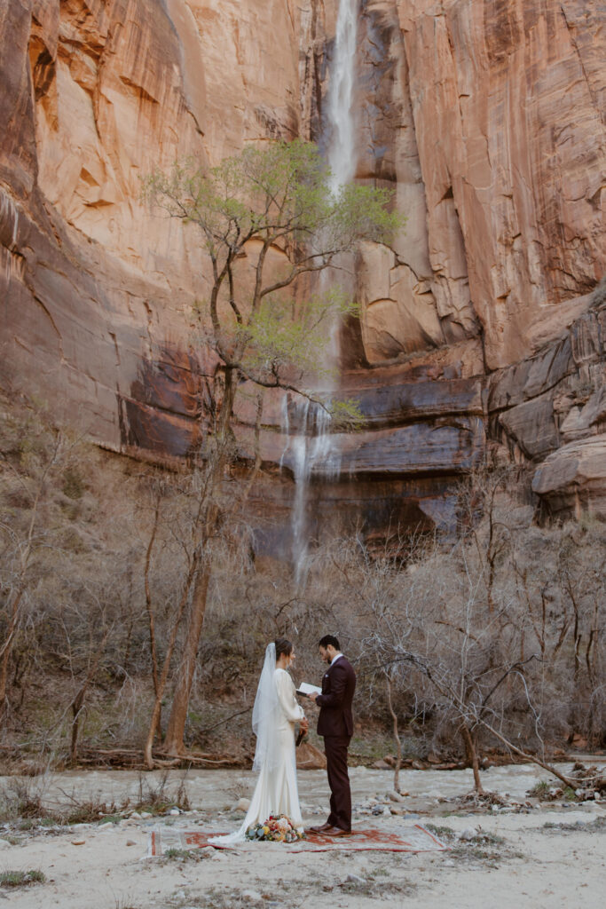 Rachel and Matt, Zion National Park Wedding - Southern Utah Photographer, Emily Dawn Photo