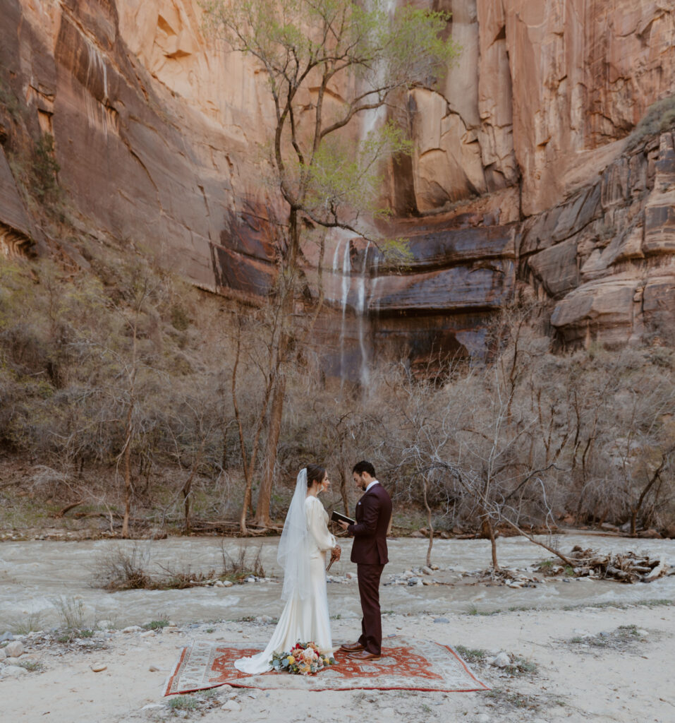 Rachel and Matt, Zion National Park Wedding - Southern Utah Photographer, Emily Dawn Photo