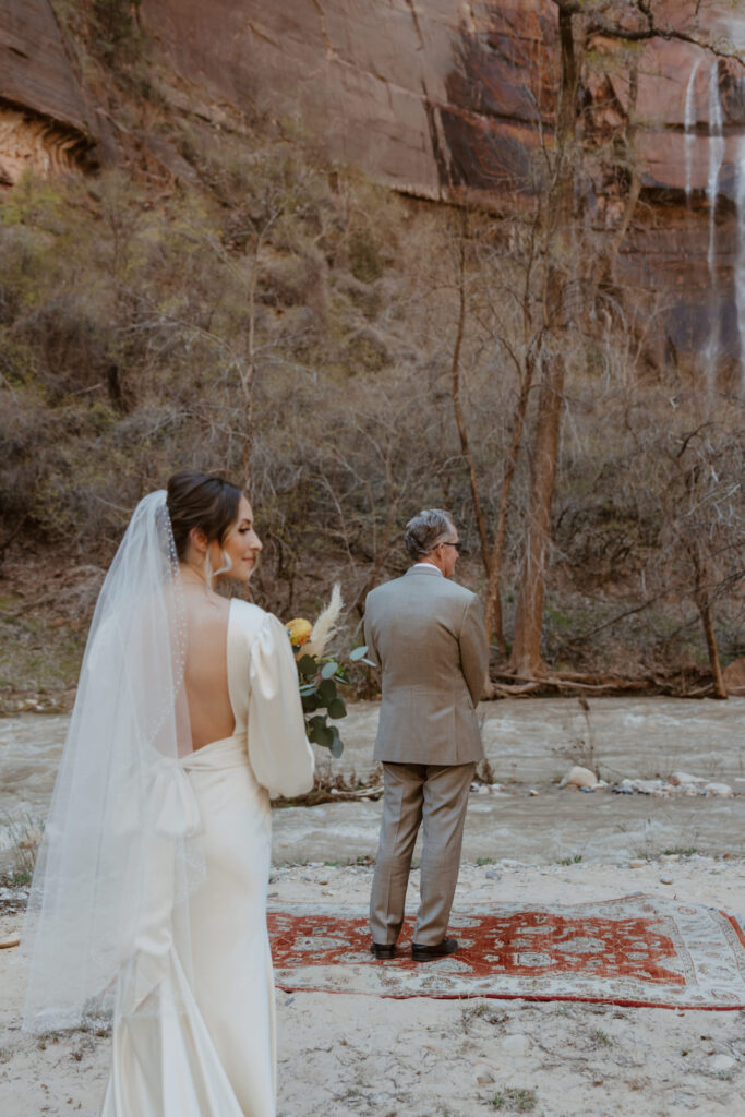 Rachel and Matt, Zion National Park Wedding - Southern Utah Photographer, Emily Dawn Photo