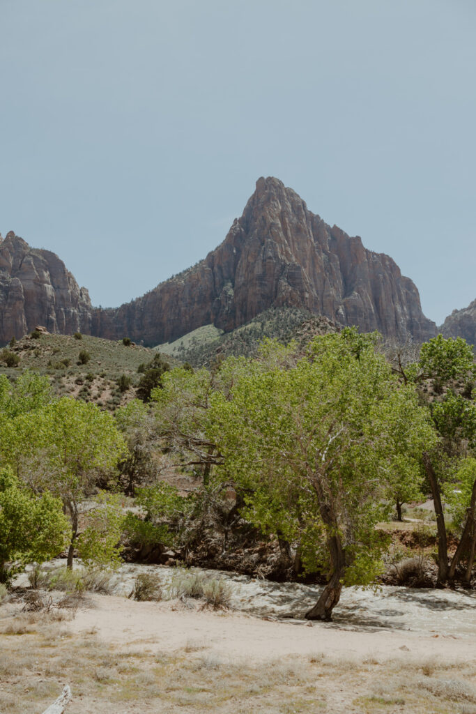 Rachel and Matt, Zion National Park Wedding - Southern Utah Photographer, Emily Dawn Photo