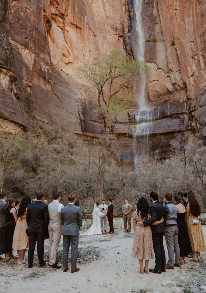 Rachel and Matt, Zion National Park Wedding - Southern Utah Photographer, Emily Dawn Photo