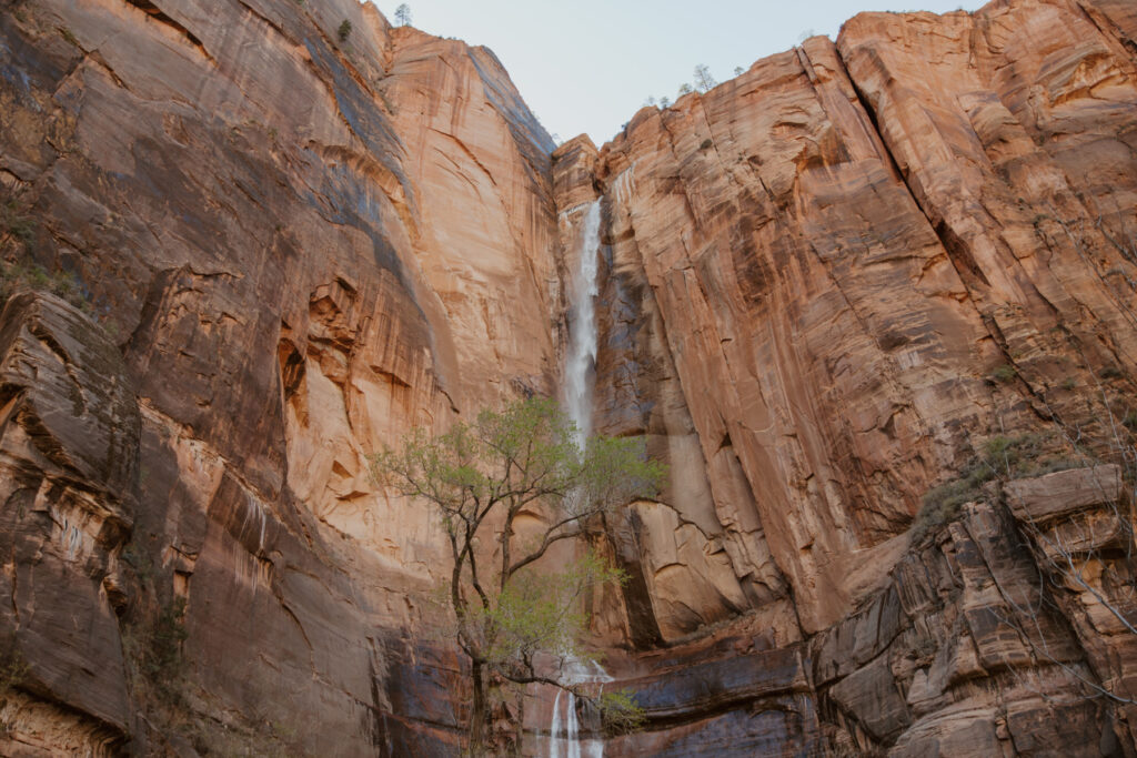 Rachel and Matt, Zion National Park Wedding - Southern Utah Photographer, Emily Dawn Photo