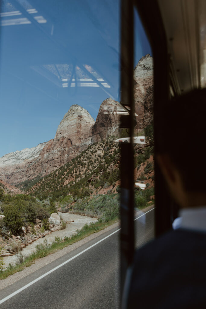 Rachel and Matt, Zion National Park Wedding - Southern Utah Photographer, Emily Dawn Photo