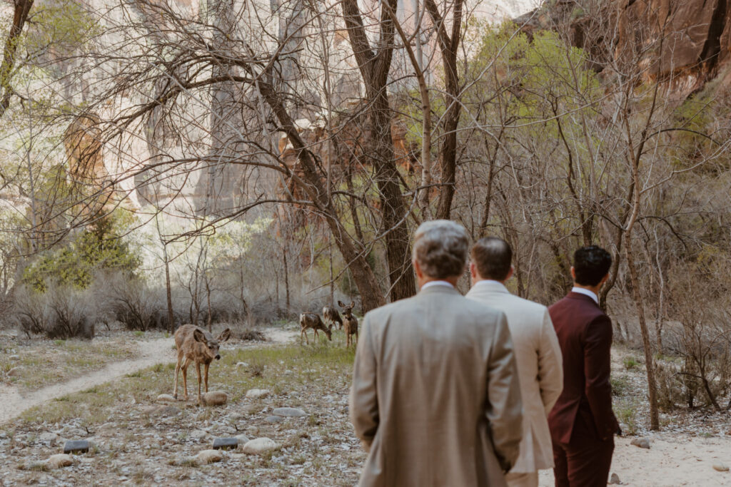 Rachel and Matt, Zion National Park Wedding - Southern Utah Photographer, Emily Dawn Photo