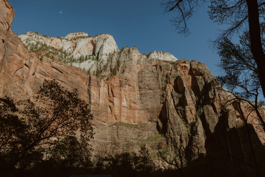 Rachel and Matt, Zion National Park Wedding - Southern Utah Photographer, Emily Dawn Photo