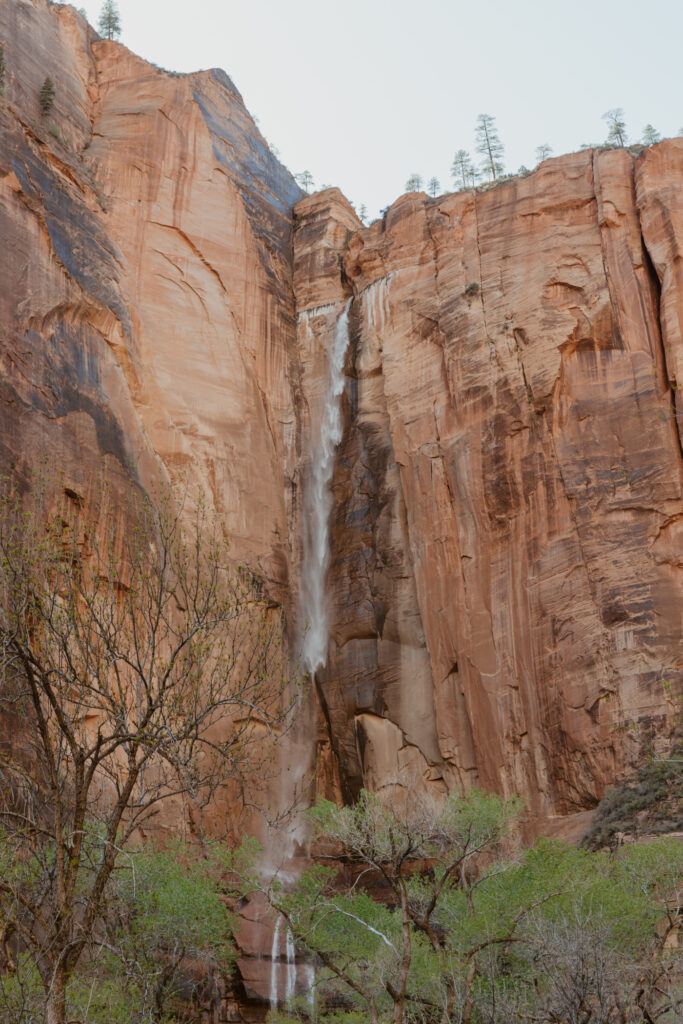 Rachel and Matt, Zion National Park Wedding - Southern Utah Photographer, Emily Dawn Photo