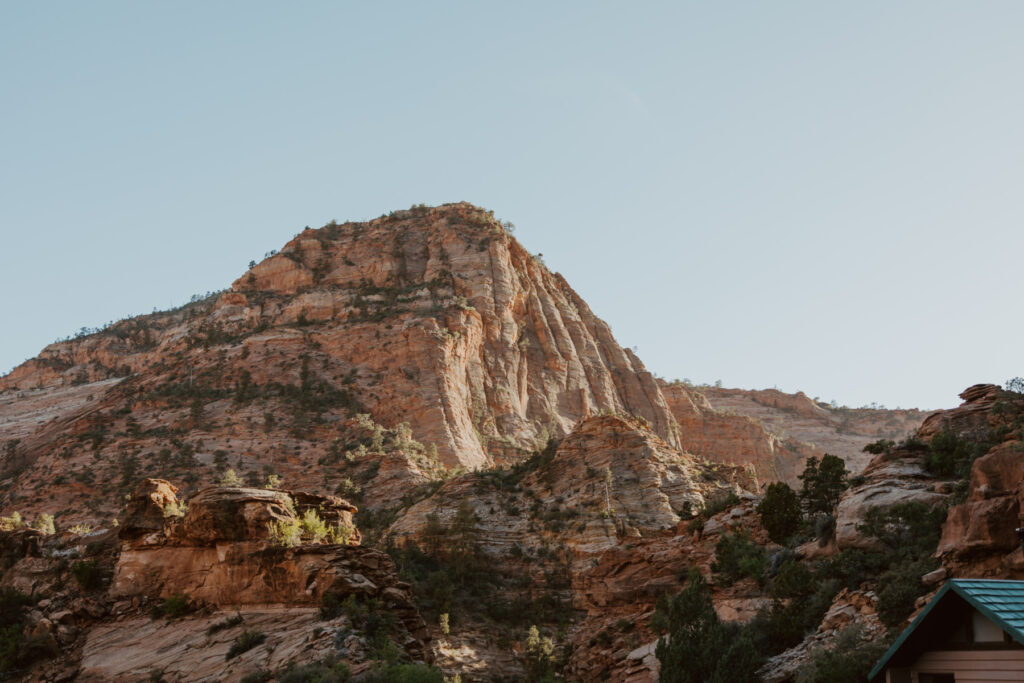 Rachel and Matt, Zion National Park Wedding - Southern Utah Photographer, Emily Dawn Photo