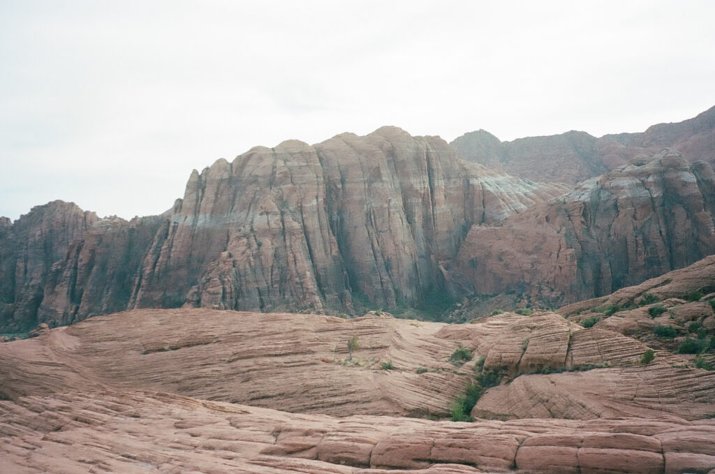 Stephanie and Emerson | Snow Canyon State Park Vow Renewal | Ivins, Utah | Emily Dawn Photo | Southern Utah Wedding and Elopement Photographer