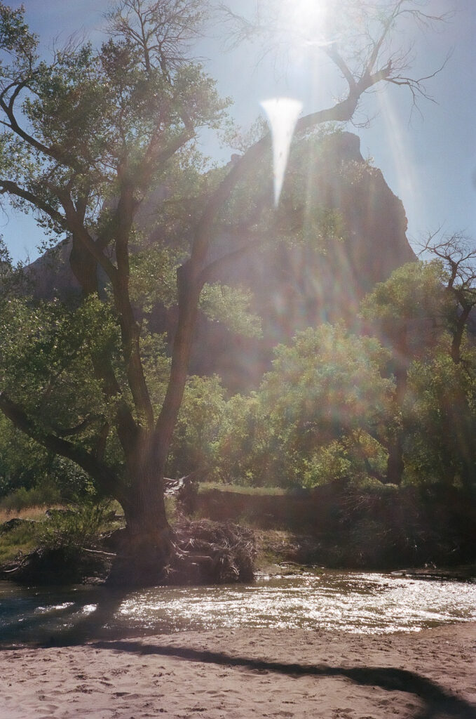 Whitney and Trenton | Zion National Park Vow Renewal | Springdale, Utah | Emily Dawn Photo | Southern Utah Wedding and Elopement Photographer