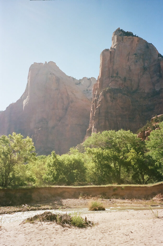 Whitney and Trenton | Zion National Park Vow Renewal | Springdale, Utah | Emily Dawn Photo | Southern Utah Wedding and Elopement Photographer