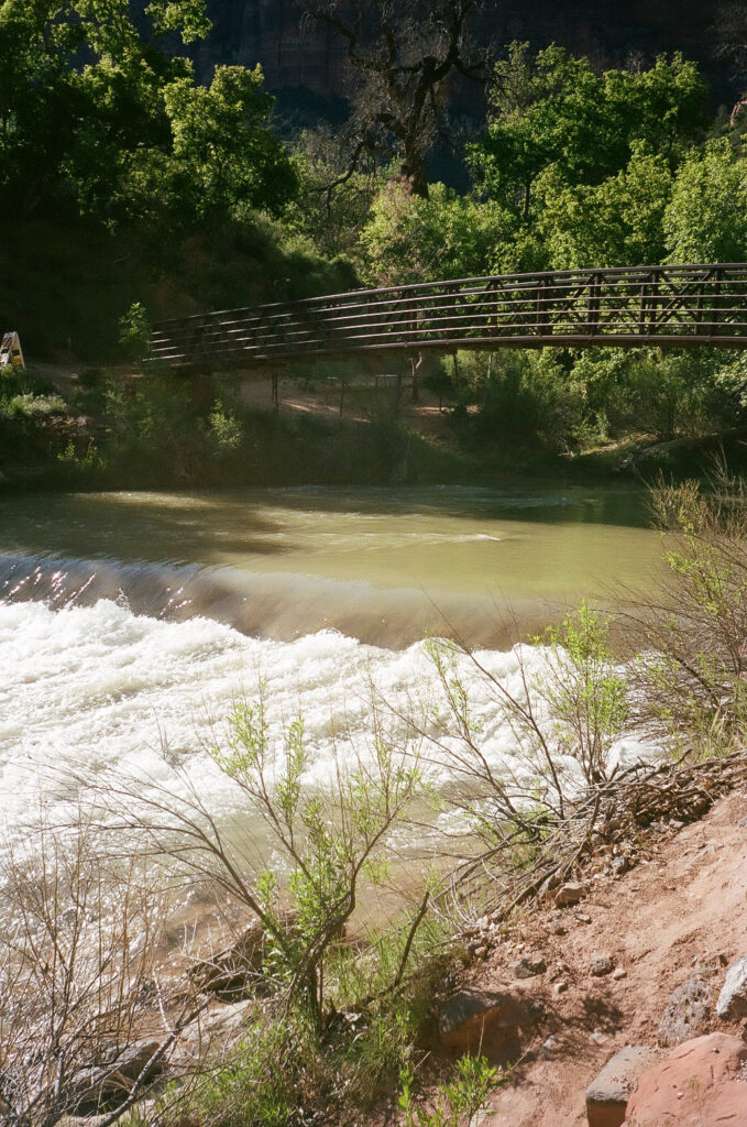 Whitney and Trenton | Zion National Park Vow Renewal | Springdale, Utah | Emily Dawn Photo | Southern Utah Wedding and Elopement Photographer