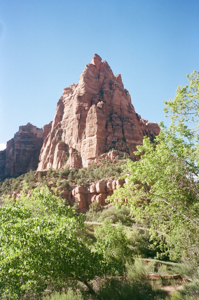 Whitney and Trenton | Zion National Park Vow Renewal | Springdale, Utah | Emily Dawn Photo | Southern Utah Wedding and Elopement Photographer