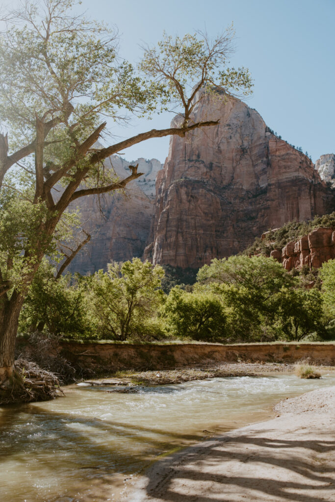 Whitney and Trenton | Zion National Park Vow Renewal | Springdale, Utah | Emily Dawn Photo | Southern Utah Wedding and Elopement Photographer