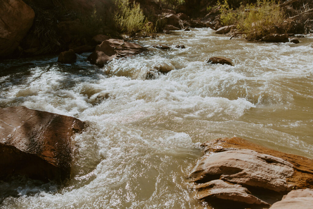 Whitney and Trenton | Zion National Park Vow Renewal | Springdale, Utah | Emily Dawn Photo | Southern Utah Wedding and Elopement Photographer