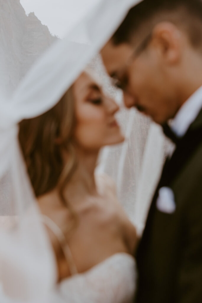 Christine and Ricky | Zion National Park Canyon Overlook Bridal Photos | Southern Utah Wedding and Elopement Photographer, Emily Dawn Photo