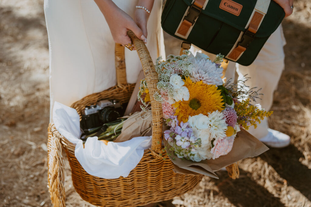 Faith and Max, Romantic Picnic Photoshoot, Pine Valley, Utah - Southern Utah Photographer, Emily Dawn Photo