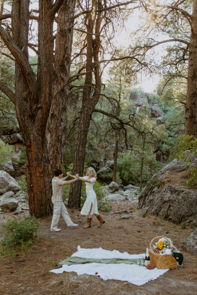 Faith and Max, Romantic Picnic Photoshoot, Pine Valley, Utah - Southern Utah Photographer, Emily Dawn Photo