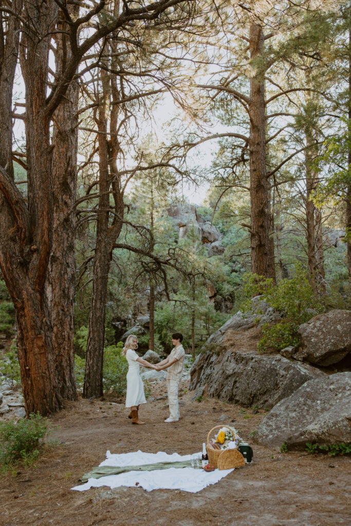 Faith and Max, Romantic Picnic Photoshoot, Pine Valley, Utah - Southern Utah Photographer, Emily Dawn Photo