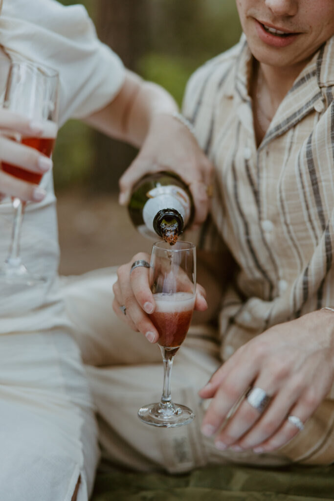 Faith and Max, Romantic Picnic Photoshoot, Pine Valley, Utah - Southern Utah Photographer, Emily Dawn Photo