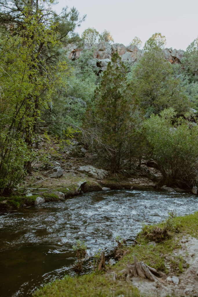 Faith and Max, Romantic Picnic Photoshoot, Pine Valley, Utah - Southern Utah Photographer, Emily Dawn Photo