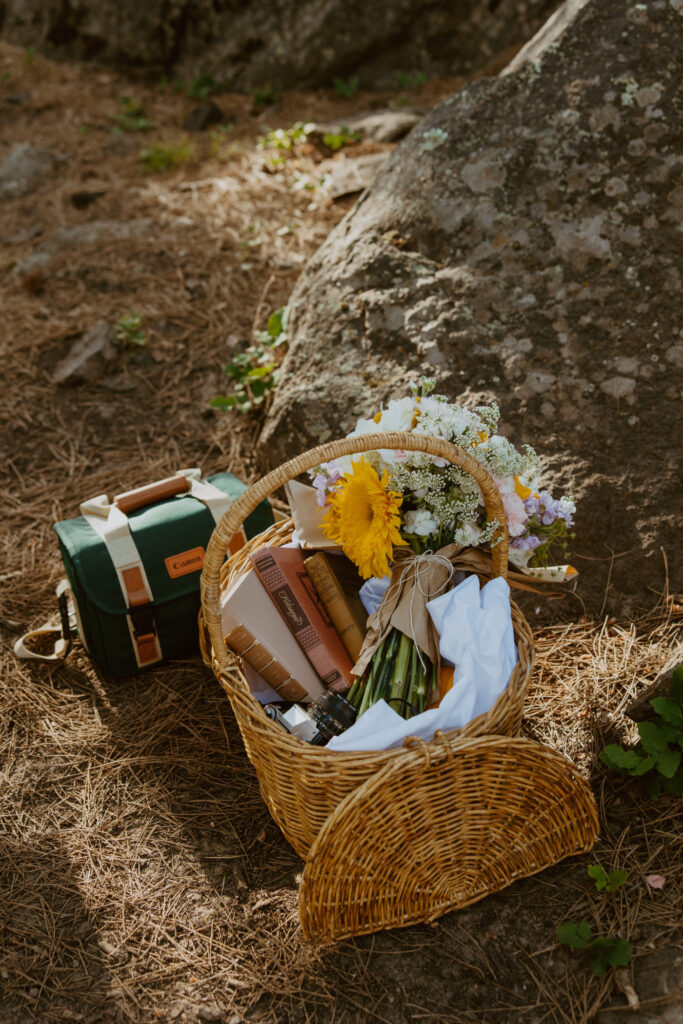 Faith and Max, Romantic Picnic Photoshoot, Pine Valley, Utah - Southern Utah Photographer, Emily Dawn Photo