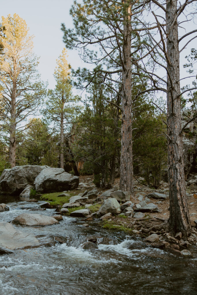 Faith and Max, Romantic Picnic Photoshoot, Pine Valley, Utah - Southern Utah Photographer, Emily Dawn Photo