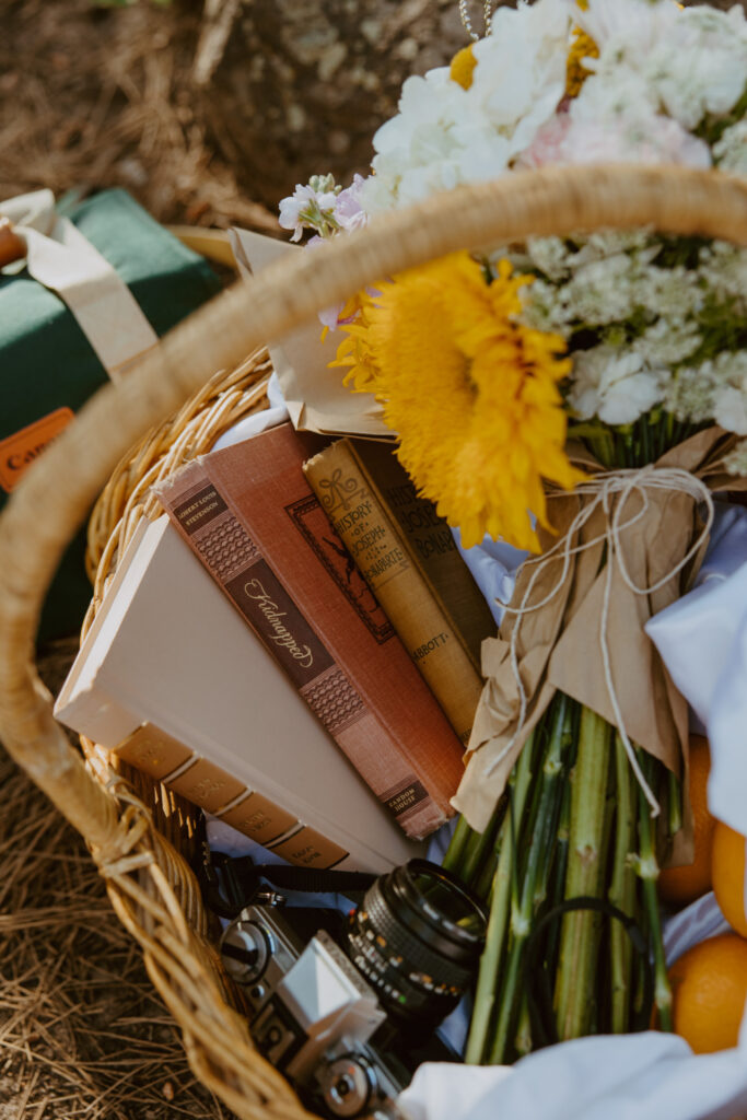 Faith and Max, Romantic Picnic Photoshoot, Pine Valley, Utah - Southern Utah Photographer, Emily Dawn Photo