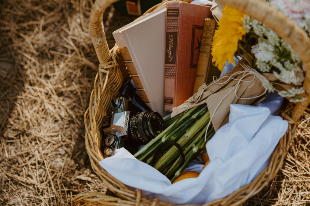 Faith and Max, Romantic Picnic Photoshoot, Pine Valley, Utah - Southern Utah Photographer, Emily Dawn Photo