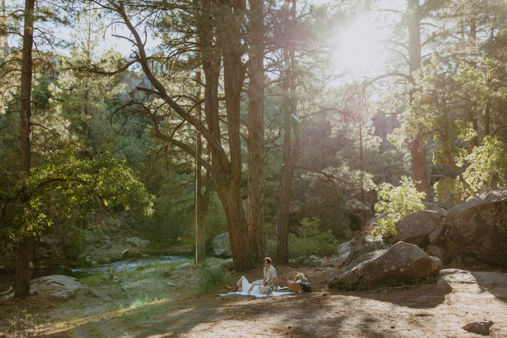 Faith and Max, Romantic Picnic Photoshoot, Pine Valley, Utah - Southern Utah Photographer, Emily Dawn Photo