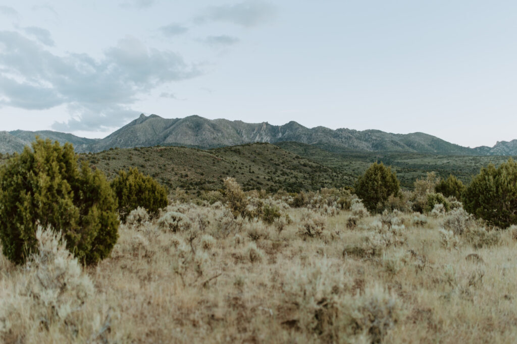 Brinley Hortin, Pine Valley, Utah Senior - Southern Utah Photographer, Emily Dawn Photo