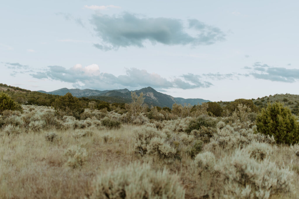 Brinley Hortin, Pine Valley, Utah Senior - Southern Utah Photographer, Emily Dawn Photo