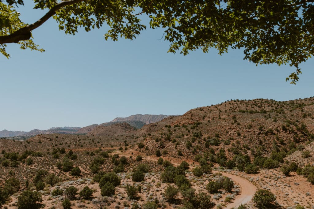 Danielle and Bailey | Zion Zen Ranch | Leeds, Utah Wedding - Southern Utah Photographer, Emily Dawn Photo