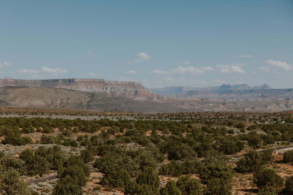 Danielle and Bailey | Zion Zen Ranch | Leeds, Utah Wedding - Southern Utah Photographer, Emily Dawn Photo