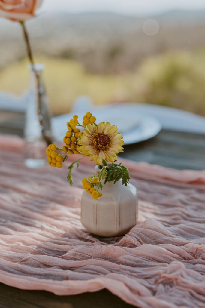 Danielle and Bailey | Zion Zen Ranch | Leeds, Utah Wedding - Southern Utah Photographer, Emily Dawn Photo